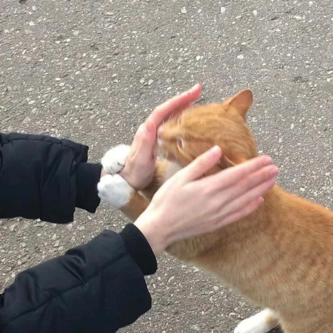 明媚