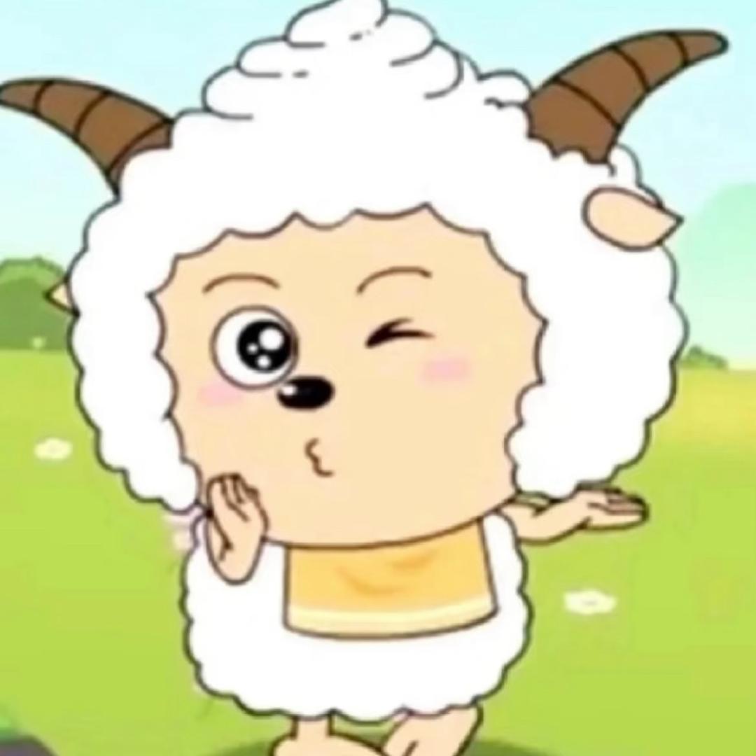 yoyocheche