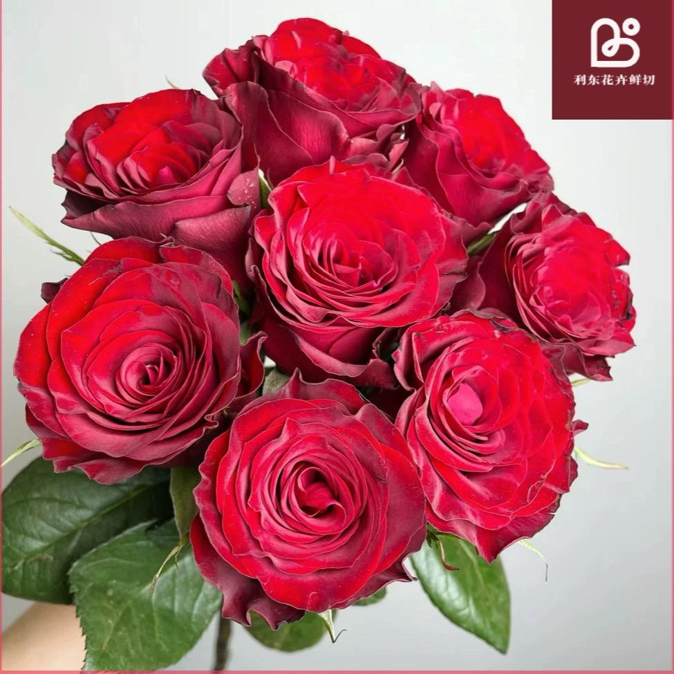 利东鲜切（花店配货）