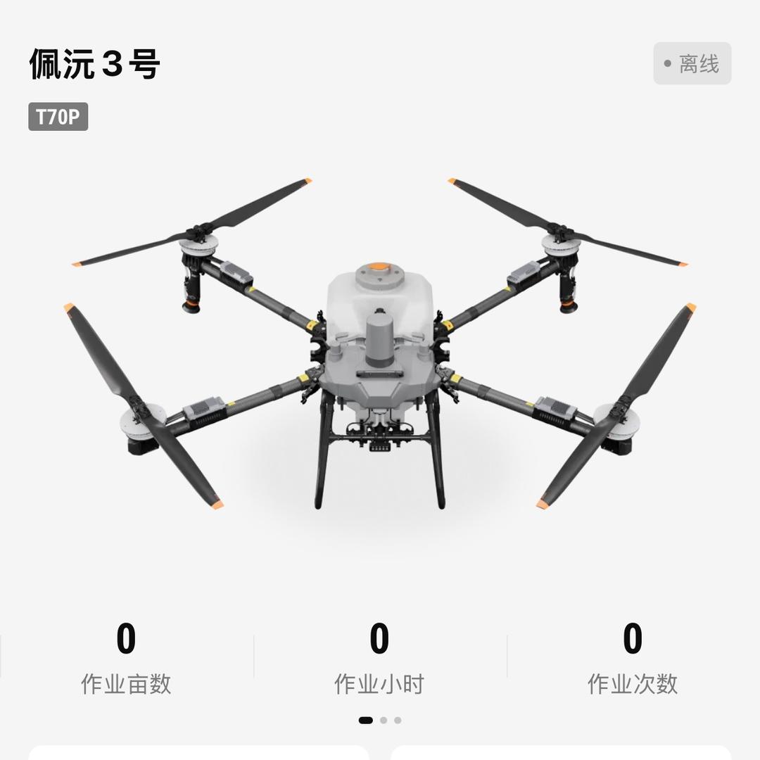 飞行沅