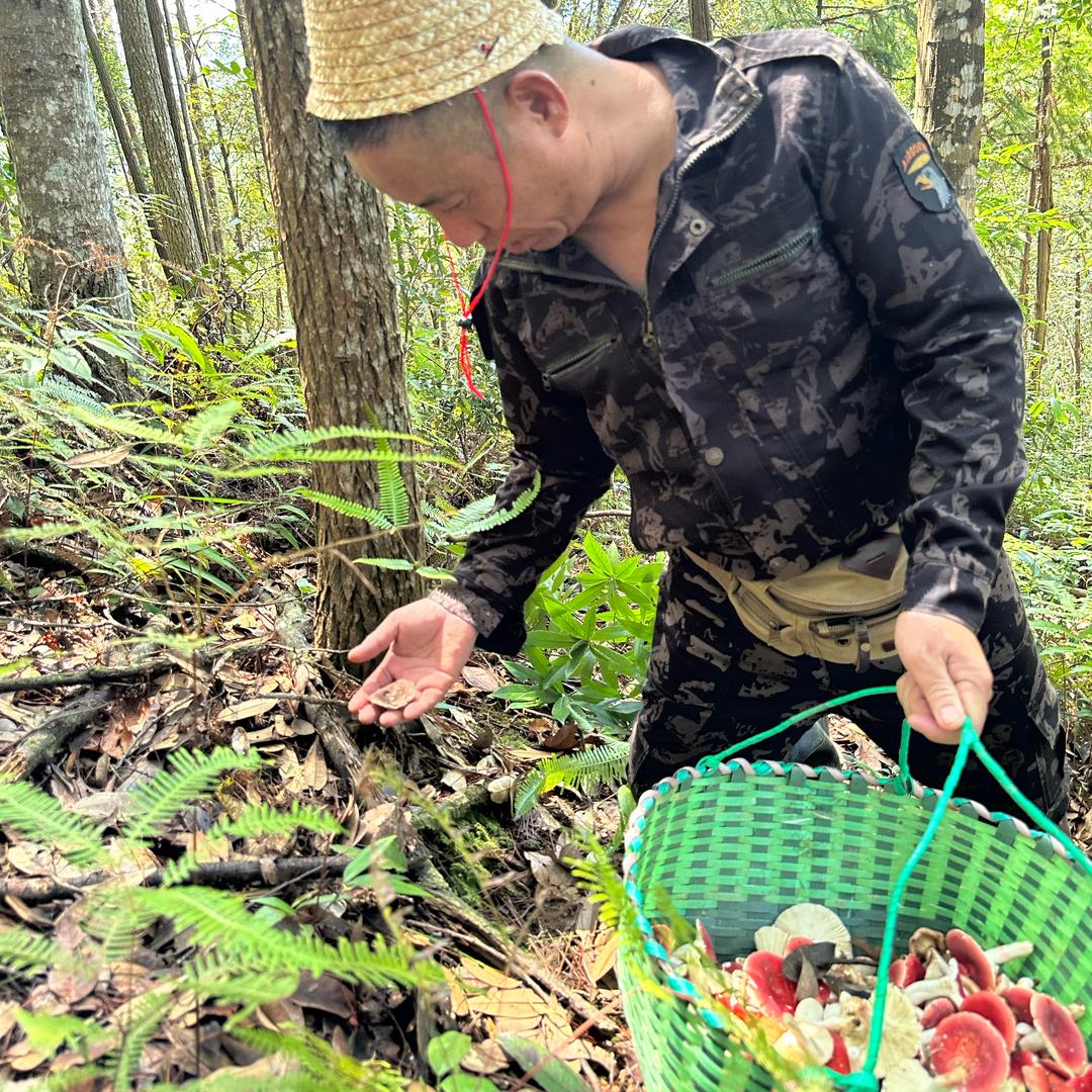 客家牛哥