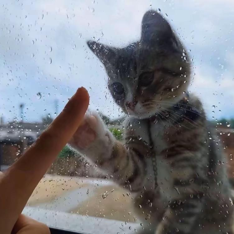 云曦
