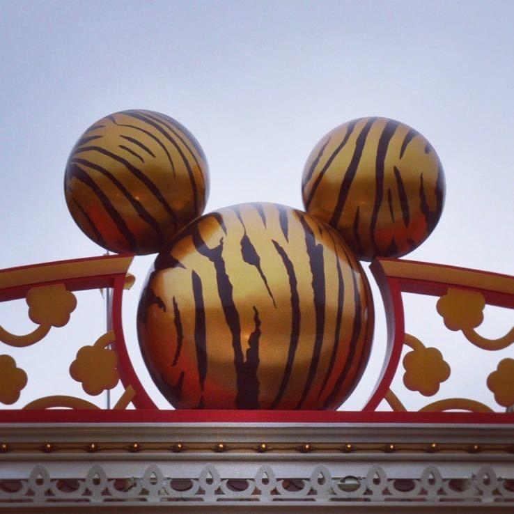 米老虎🐯