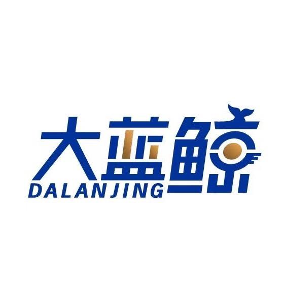 大蓝鲸汽车音响