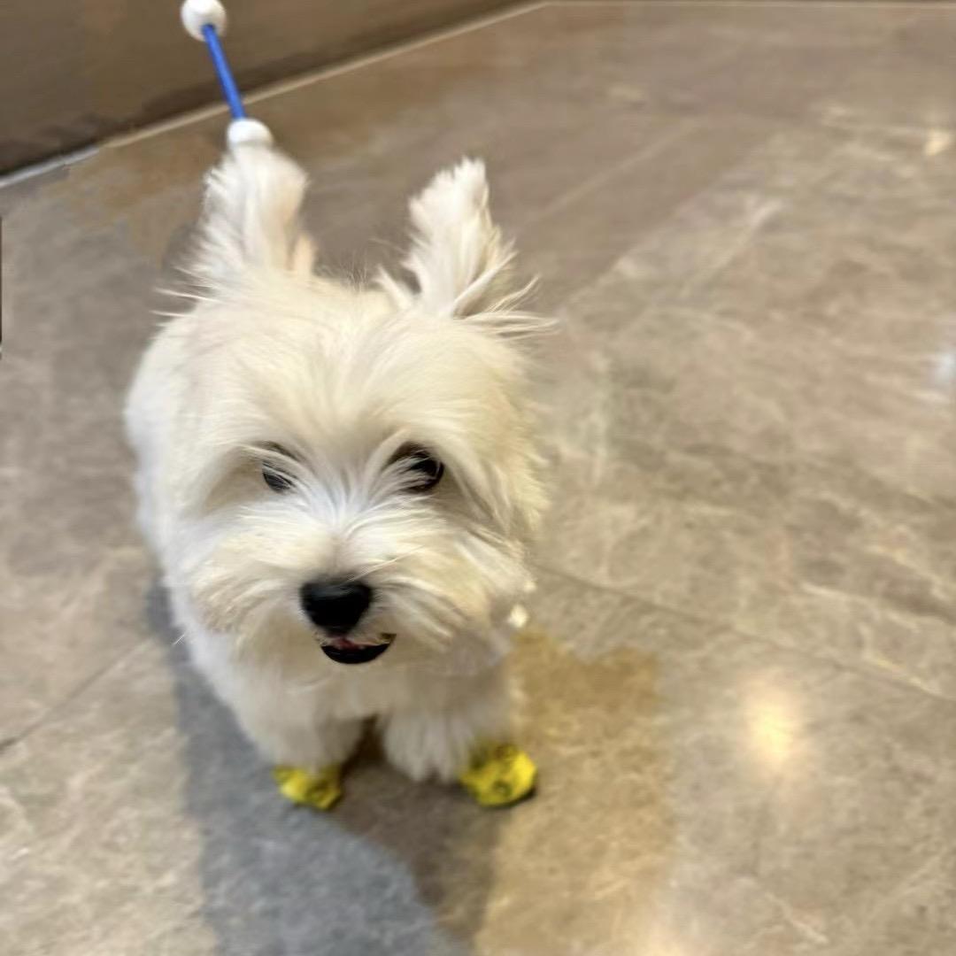 立正稍息接受批评