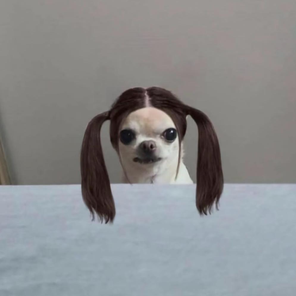 绝对快乐
