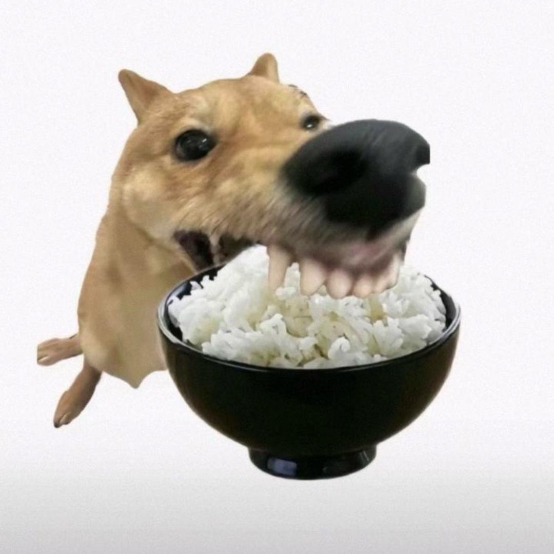 _用户2157
