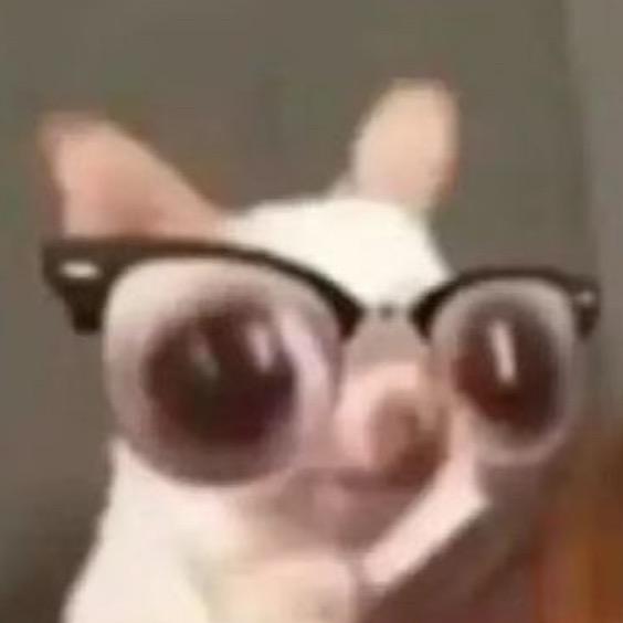 别拥乎正事耽误玩