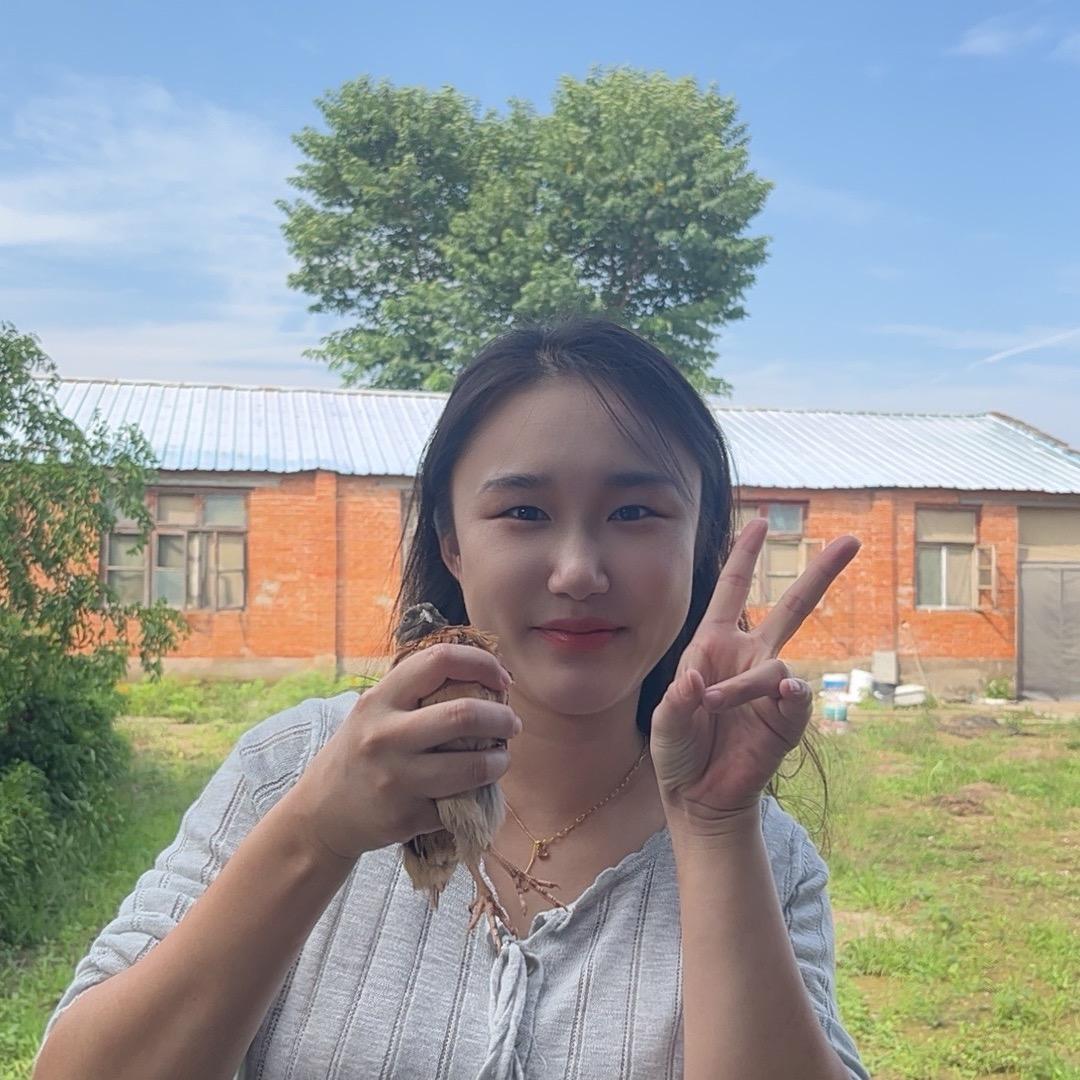 鸣野斗鹌鹑（聪聪）