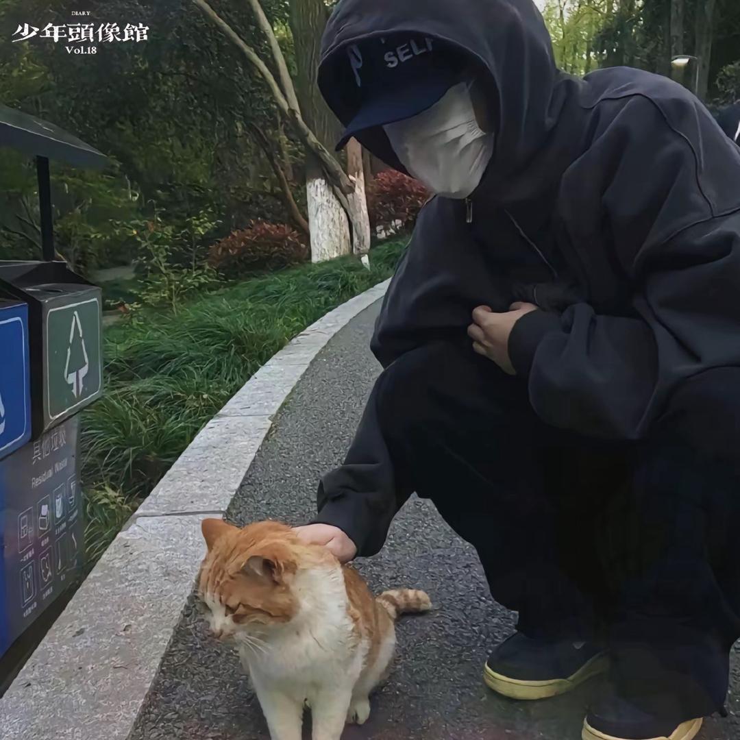 杰尼斗士斯