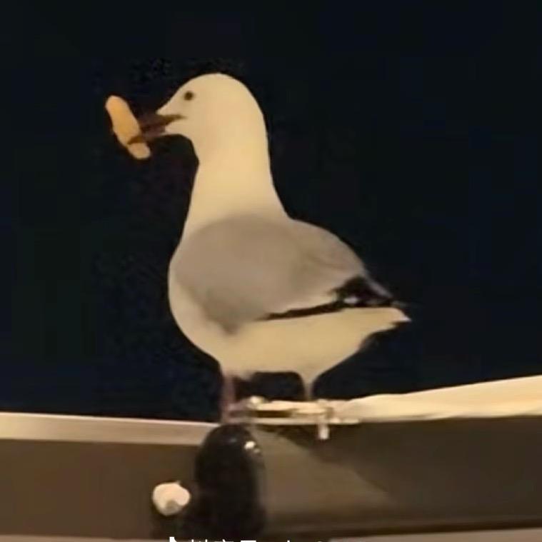 ⛵️整点薯条🍟