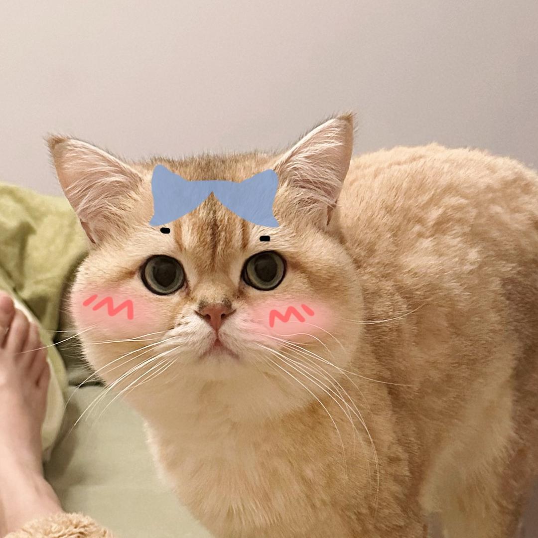 汉堡与小慕慕👐