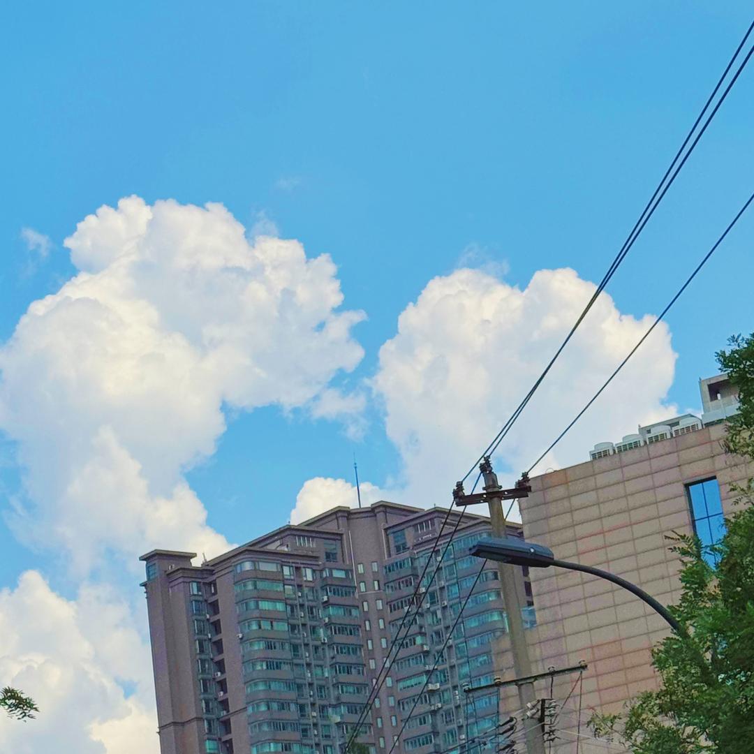 合肥升学无忧