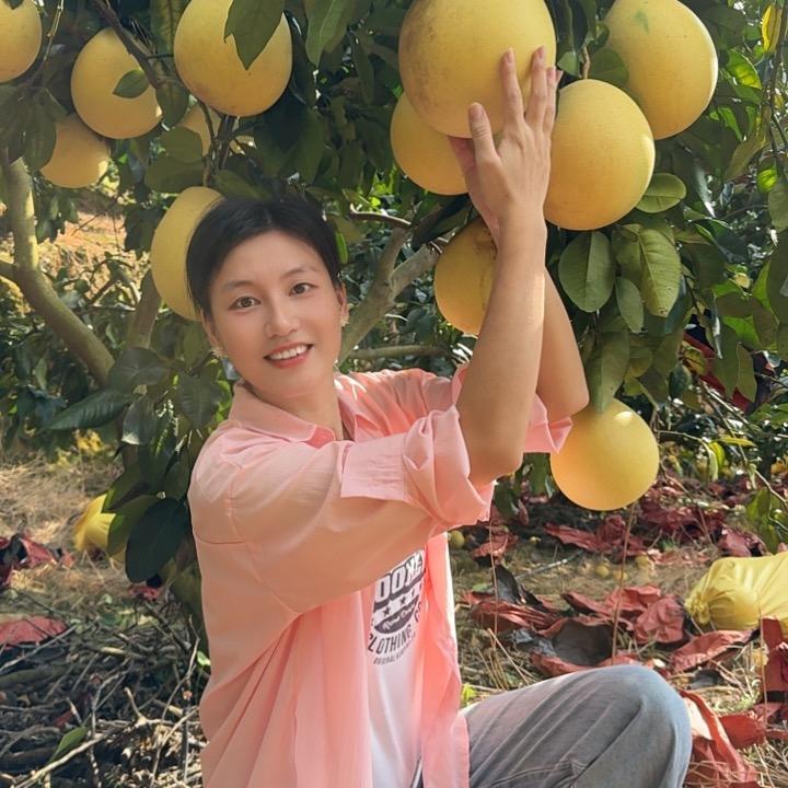 艺阳-广东梅州老树蜜柚原产地直发