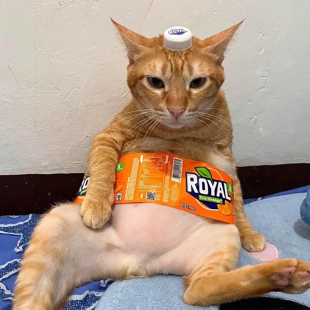dghyggfhh