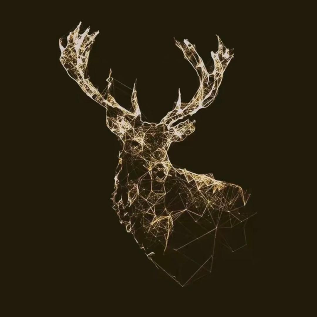 Ｄ多金定制服饰店