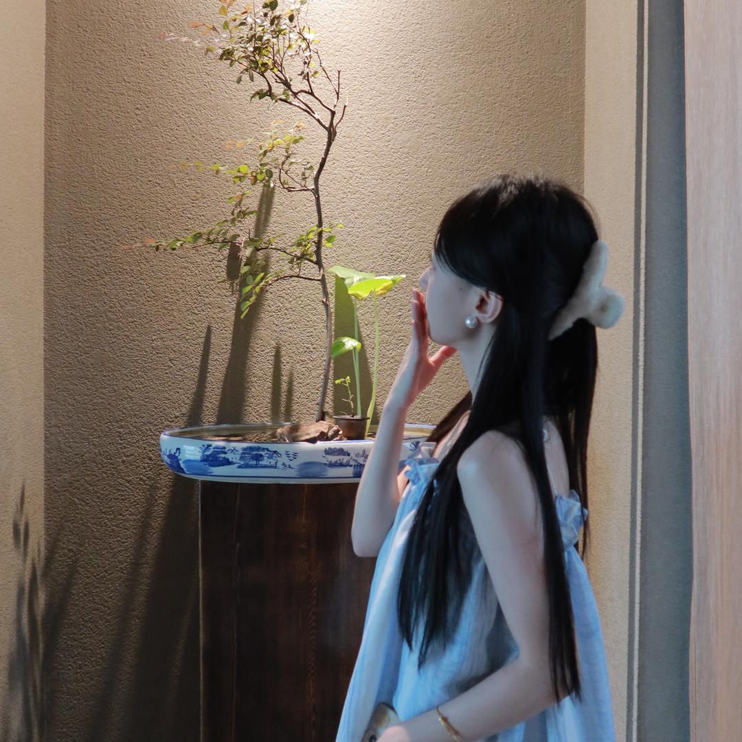 喵十二