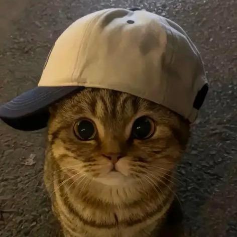 🧸ww
