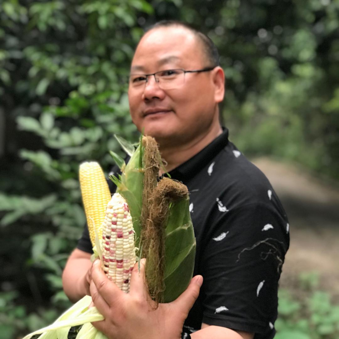 老释（不是那个方丈的湿）