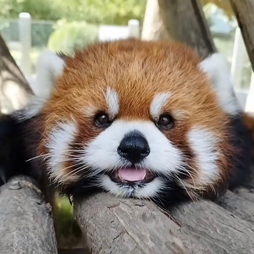 久远