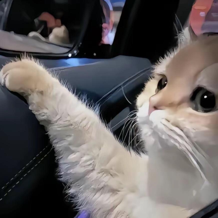 🚗🐎