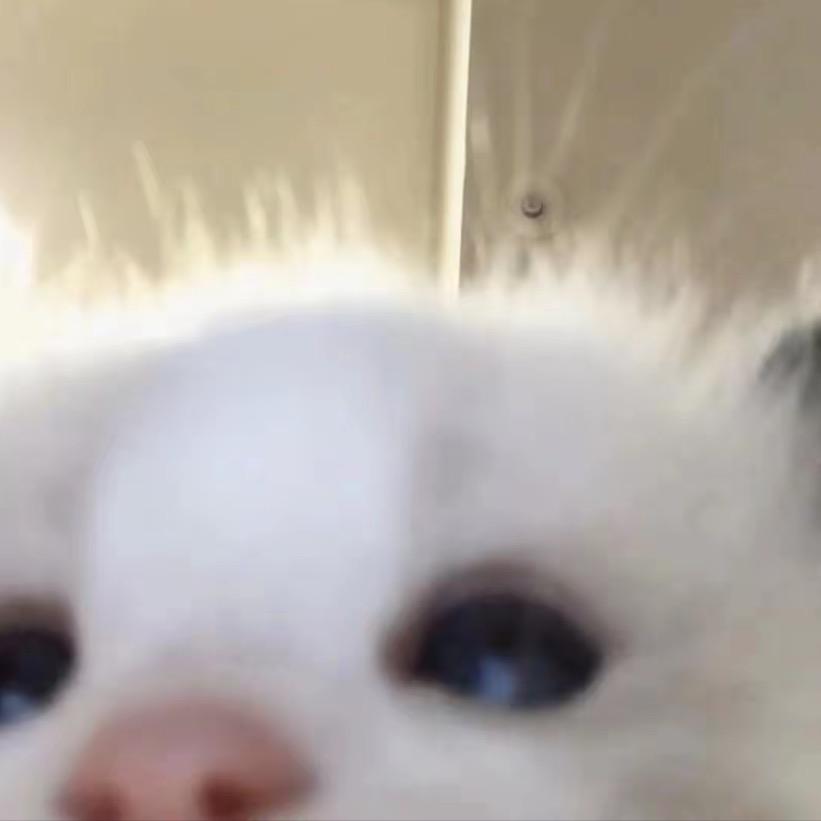 Q Q