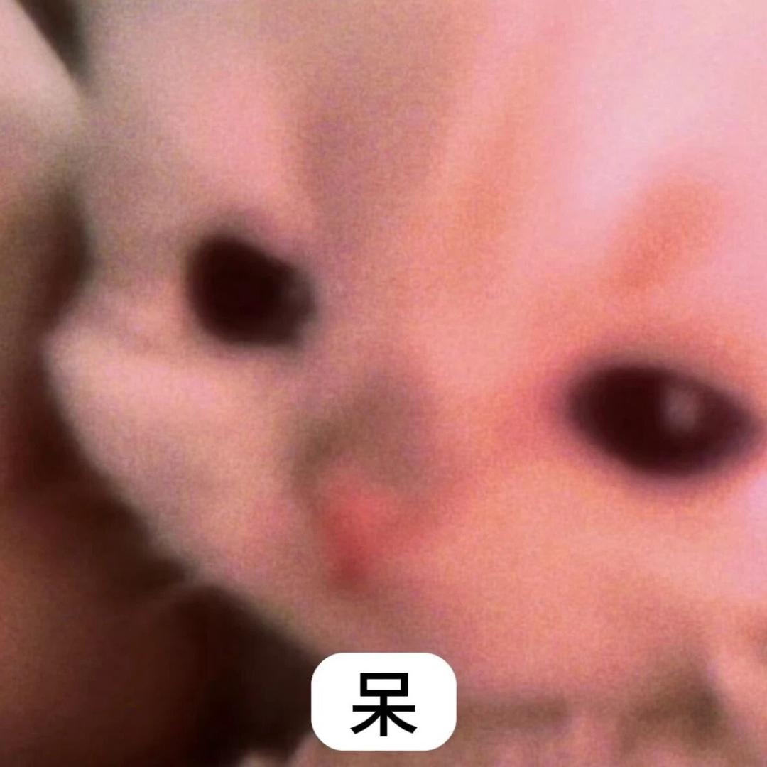 小小约德尔