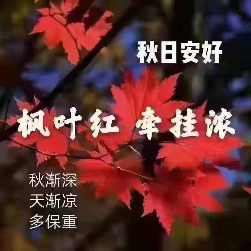 红叶🍁