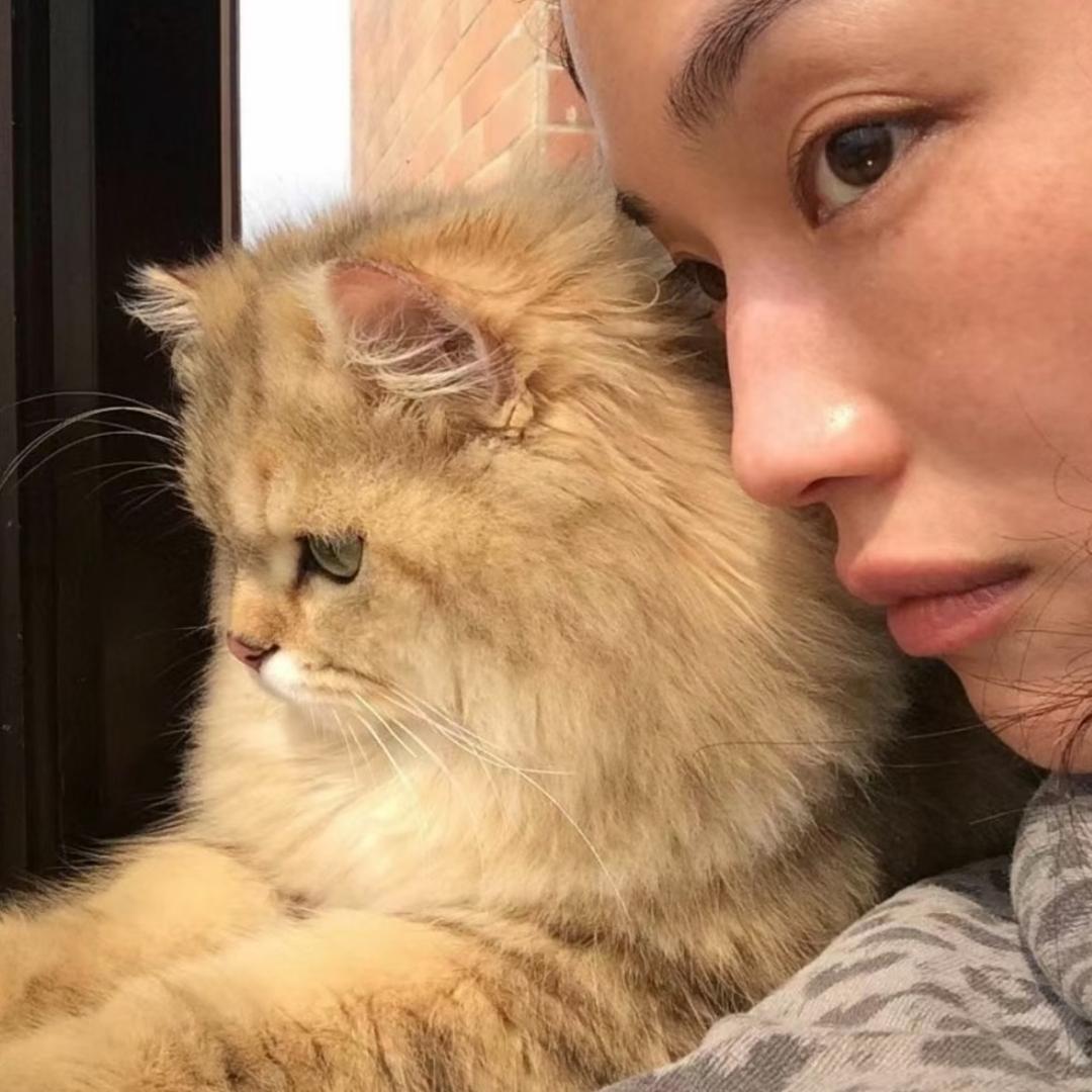 会飞的西兰花🥦