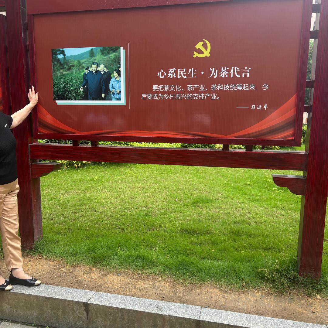 勇敢飞翔