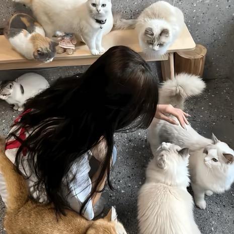 别为爱蹉跎