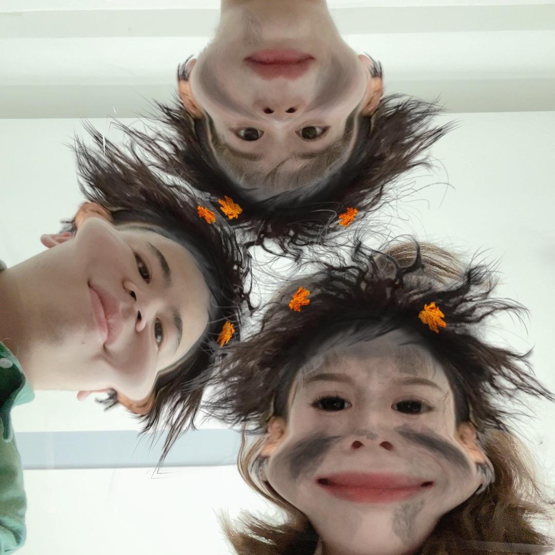 风行新媒体工作室