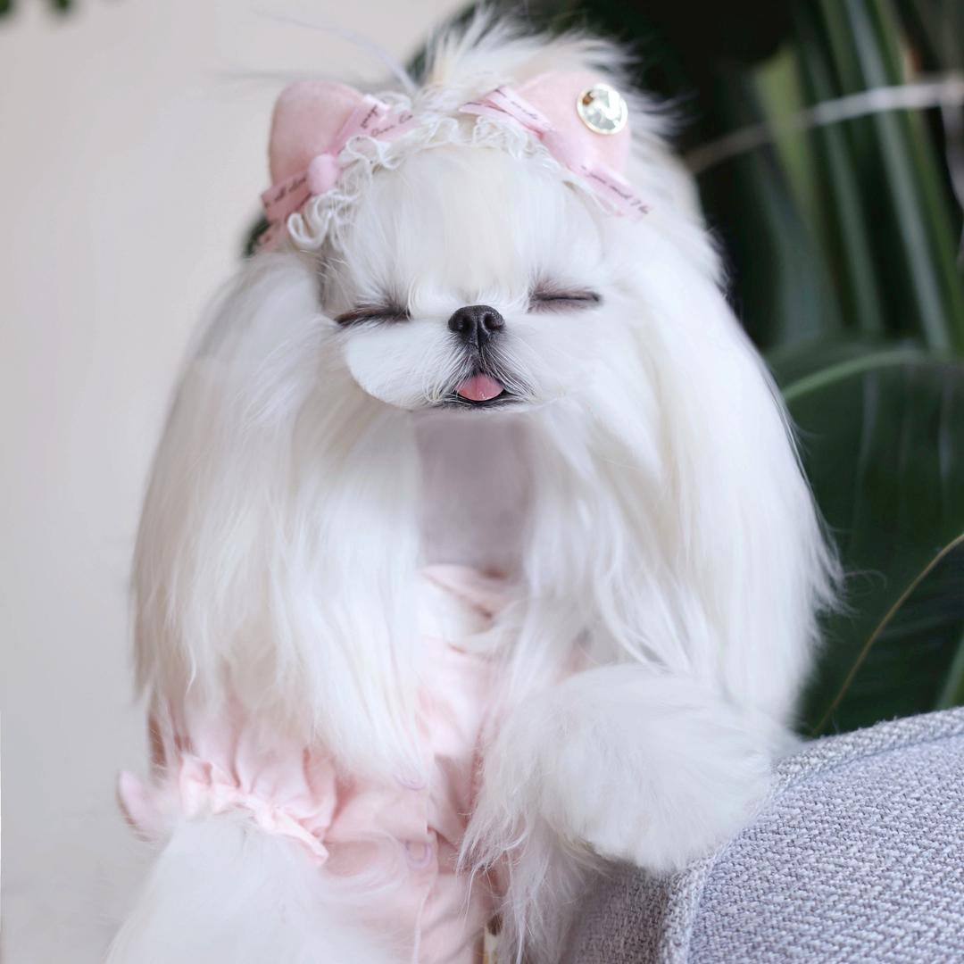 漫桃家小可爱