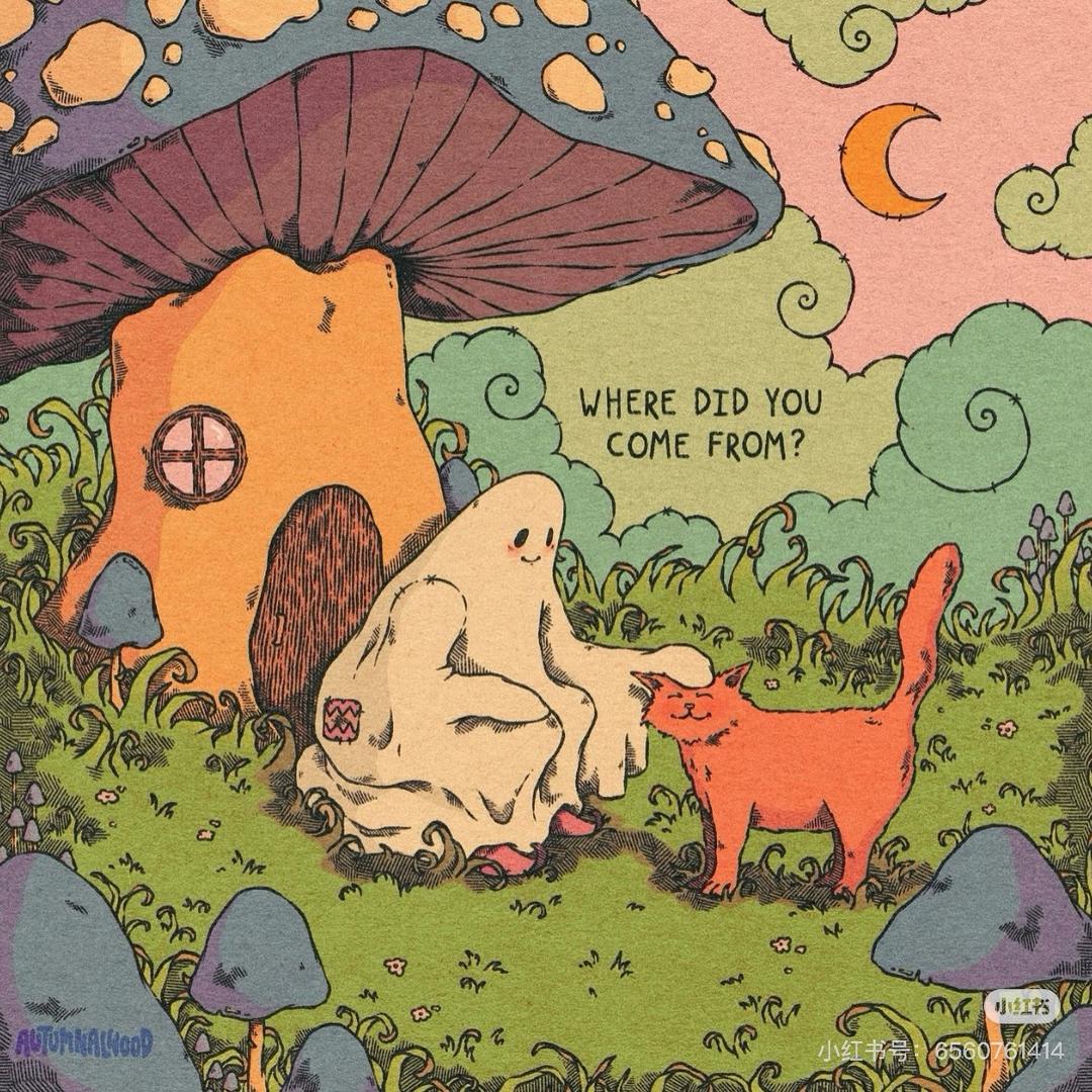 🕊️🕊️🕊️