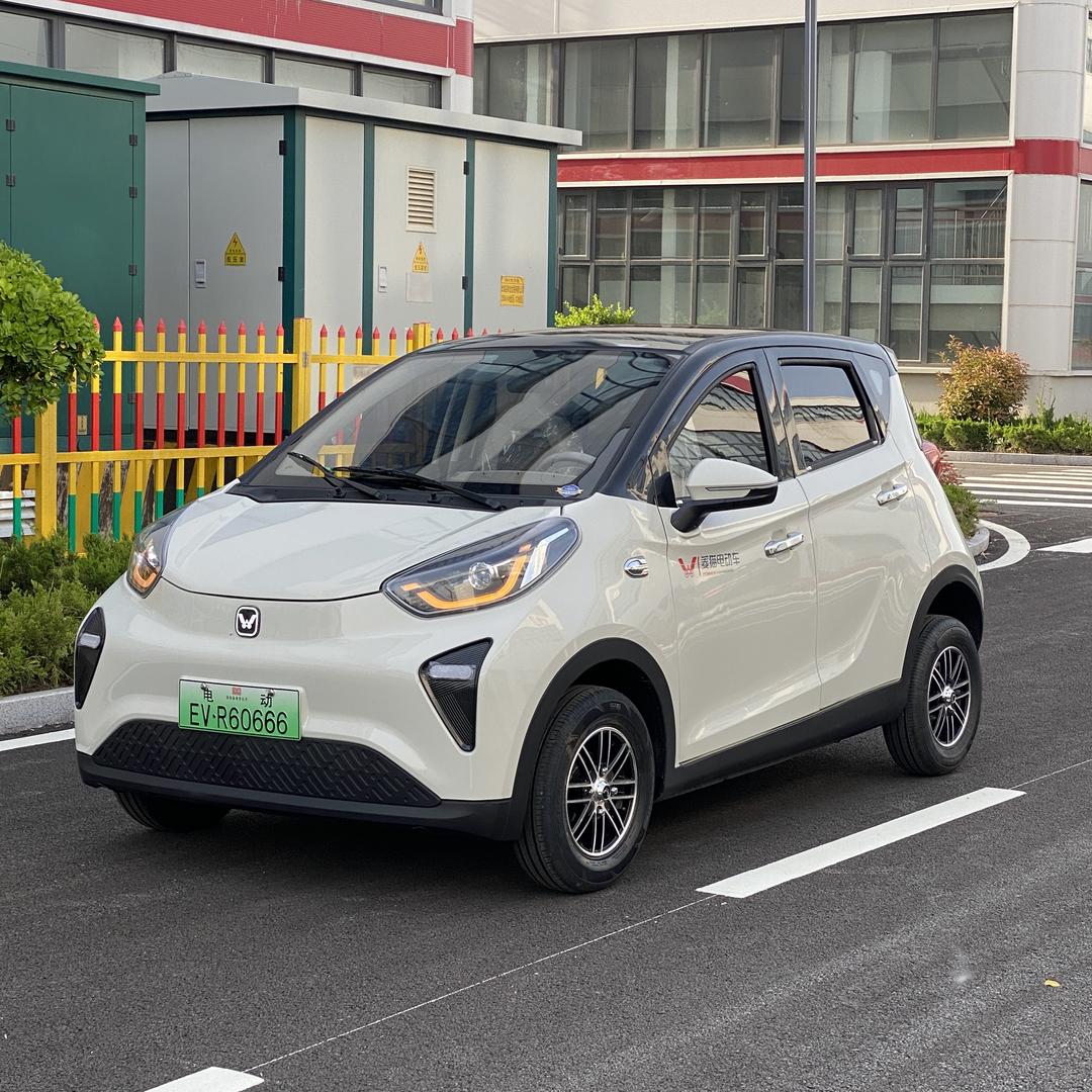 新能源低速电动车厂家直销