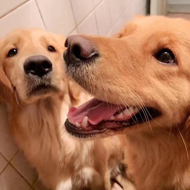 给不了你太多🙂‍↔️