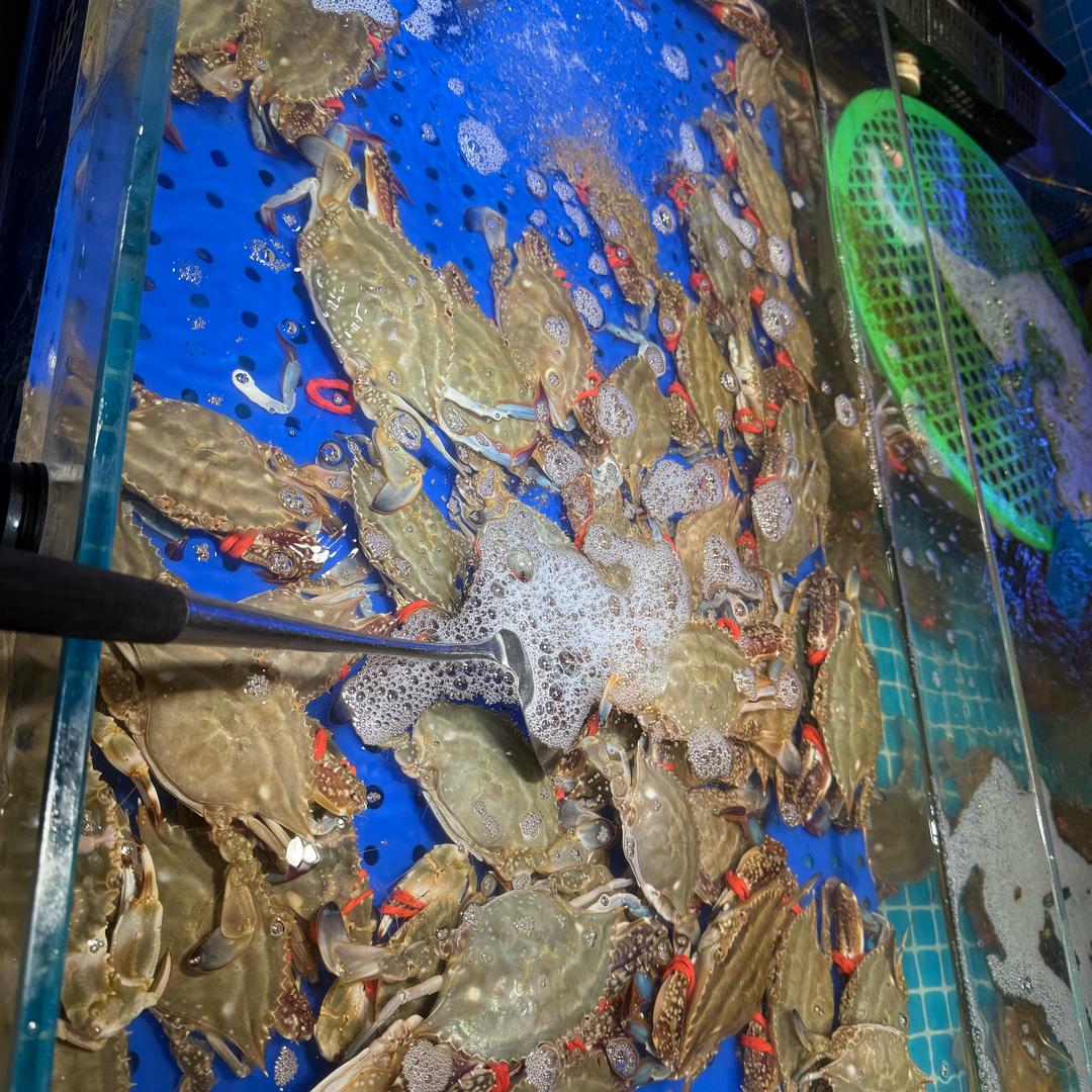 勇往直前-海鲜批发