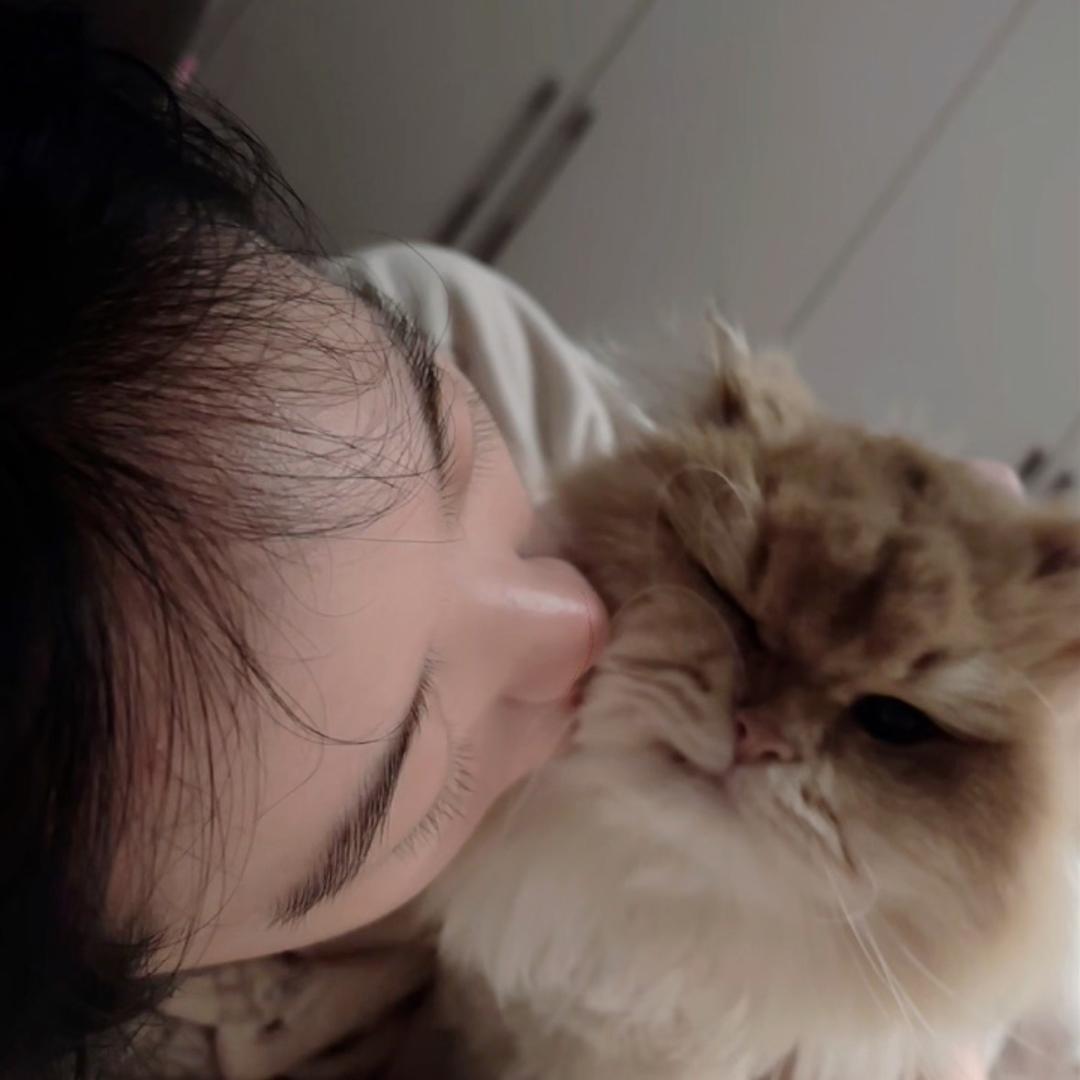 -小奶牛