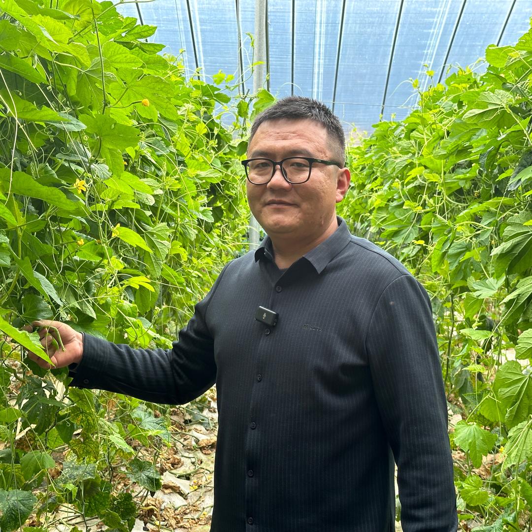 施劲章蔬菜高产技术员
