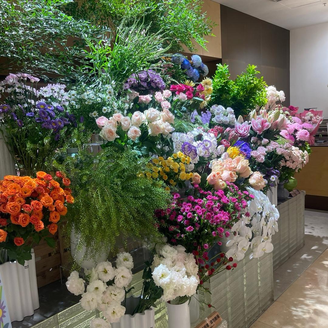 悦悦