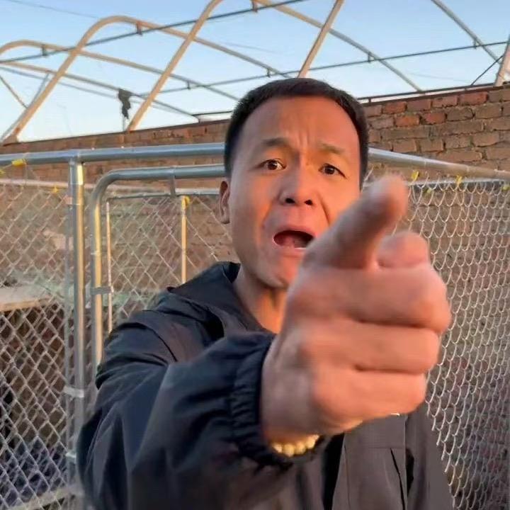潘宏爱玩狗66