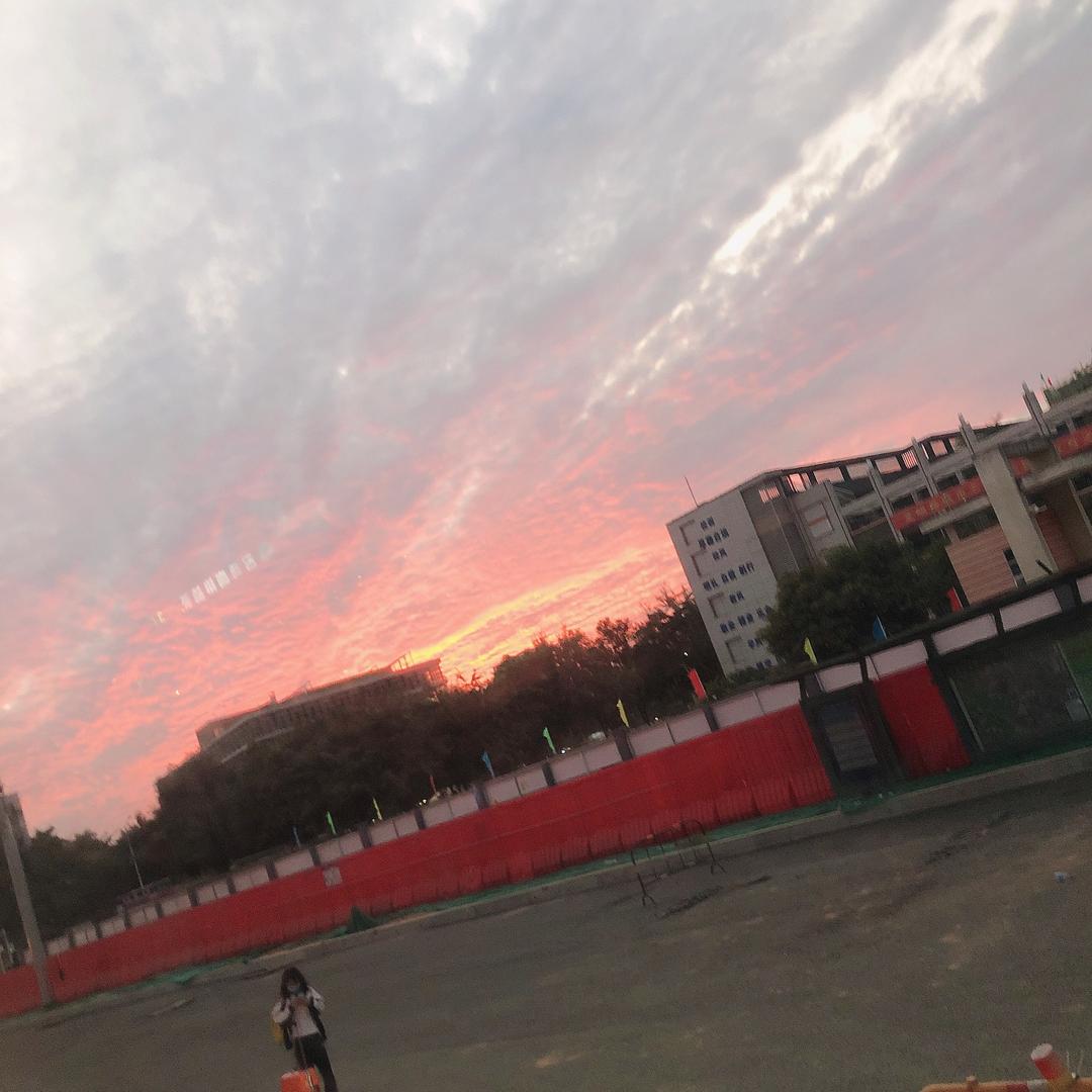 狗儿子