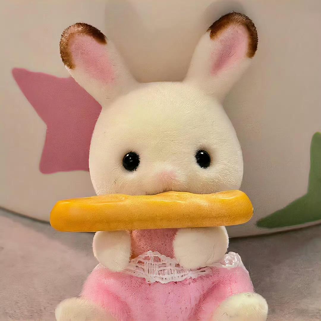🐰Snow_兔兔
