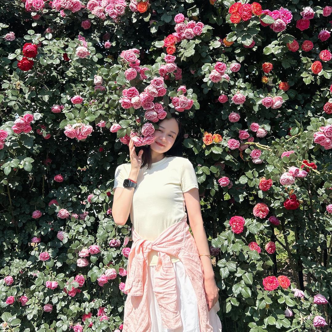 是梵梵呀🫘