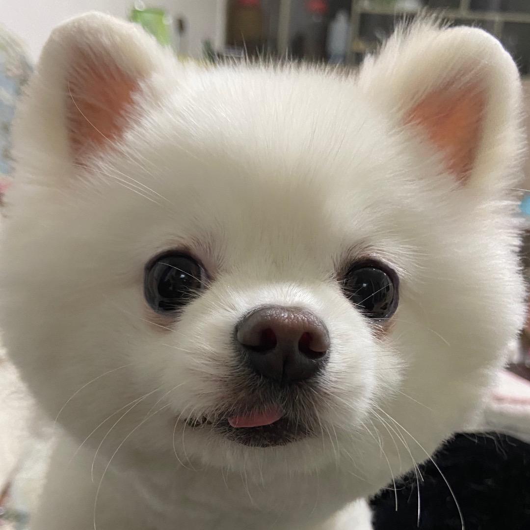 一秒睡噜☁️