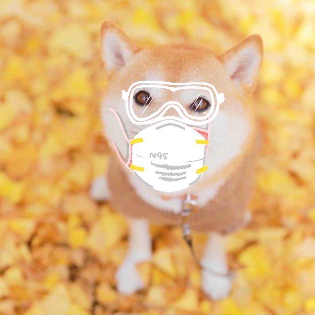 俊后生