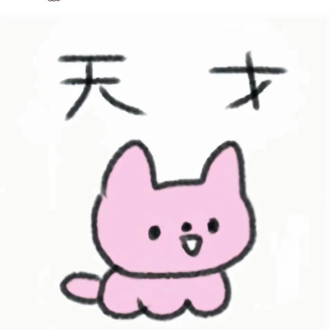 天才小Z
