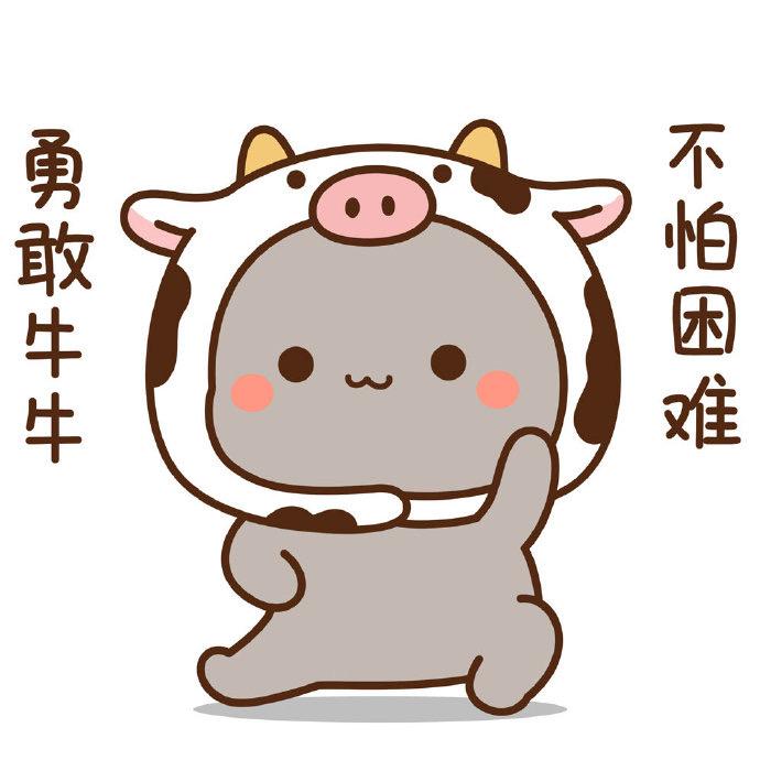 肥牛影视