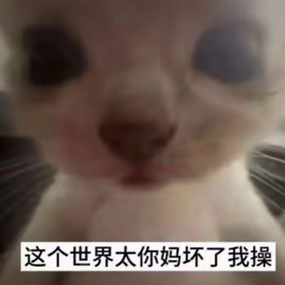 （分身版）