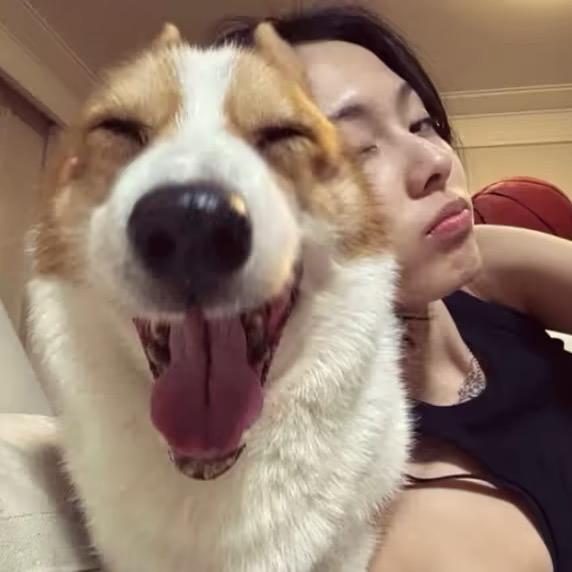🐽